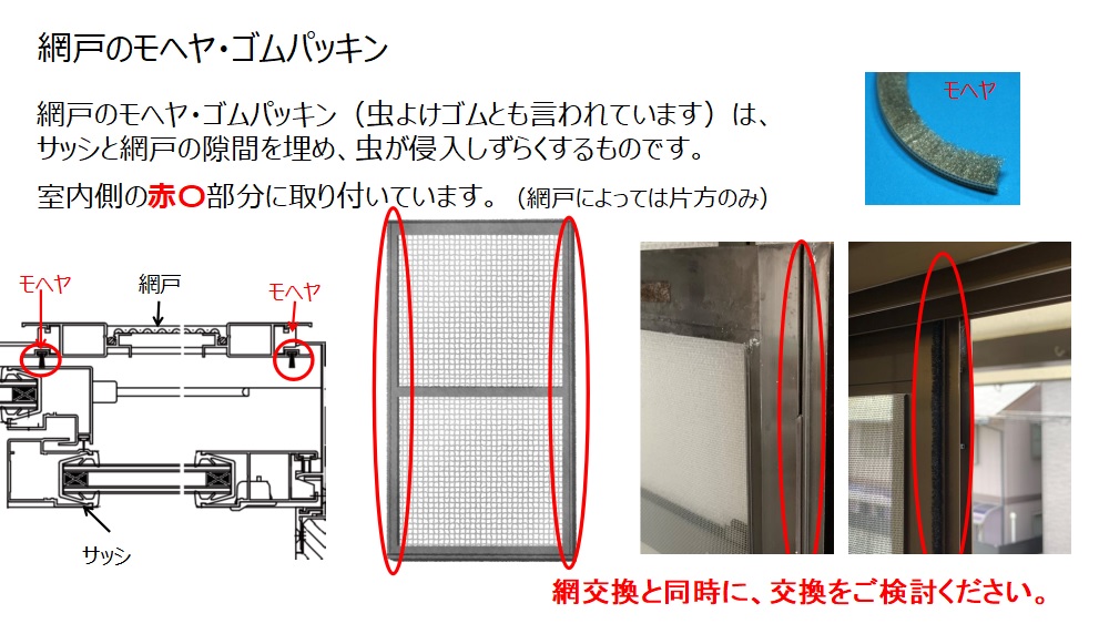 ダウンロード